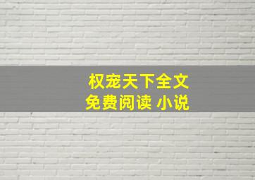 权宠天下全文免费阅读 小说